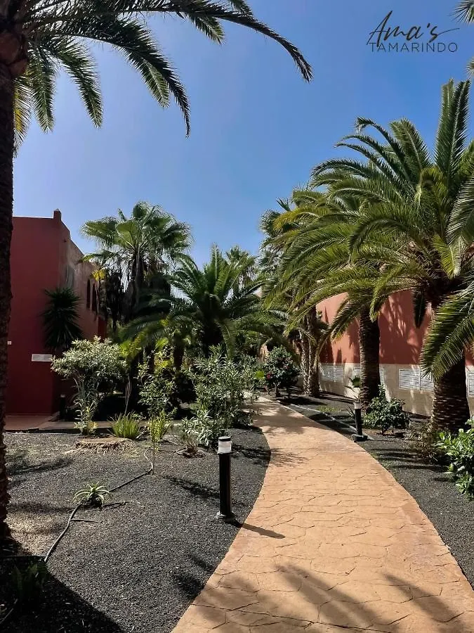 Apartment Tamarindo Amas By Rentalfue Corralejo